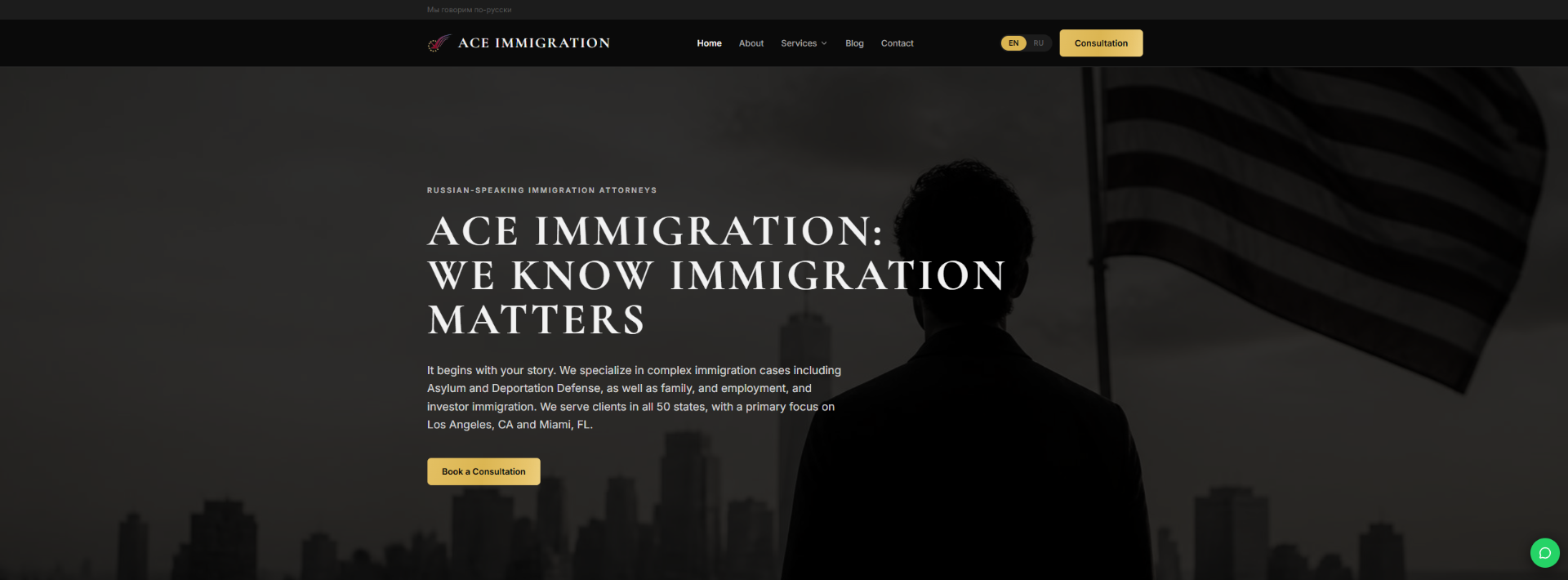 Ace Immigration thumbnail